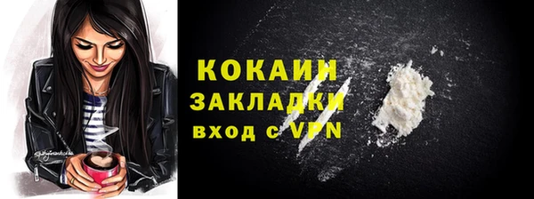 твердый Бородино