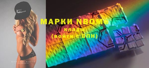 твердый Бородино