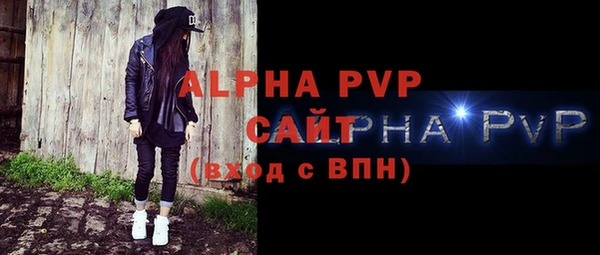 твердый Бородино