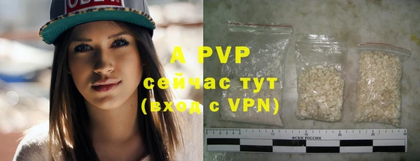 твердый Бородино