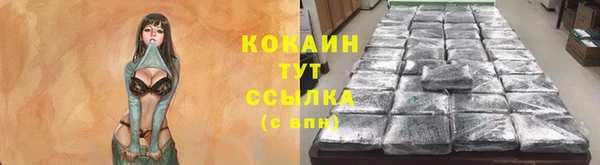 твердый Бородино