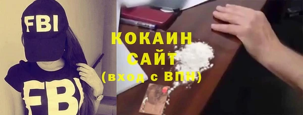твердый Бородино