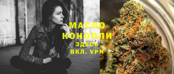 твердый Бородино