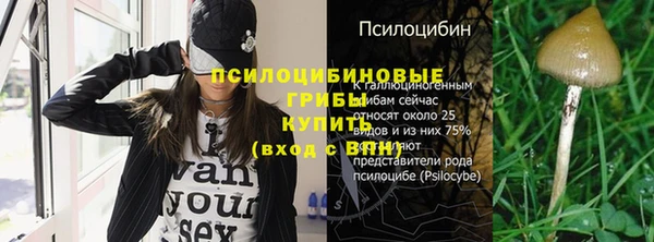 гидропоника Верхний Тагил