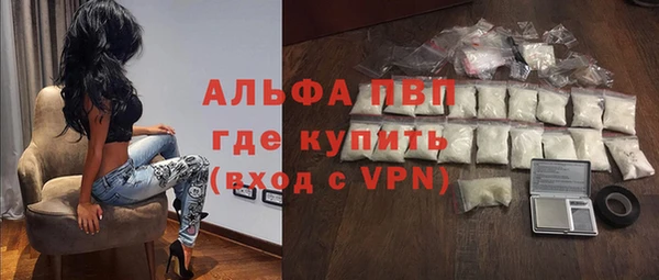 твердый Бородино