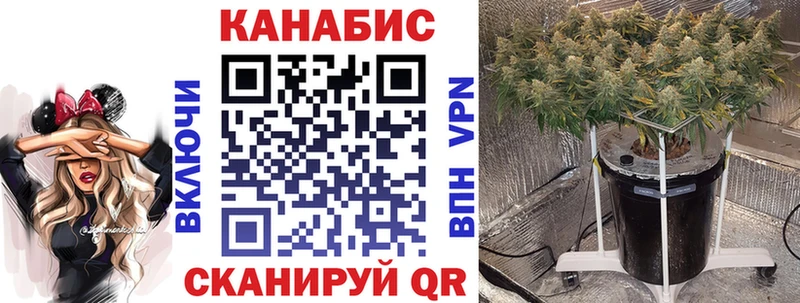 Бошки Шишки тримм  Купить где  Салаир 